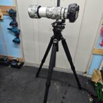 Thumbnail of post image 103